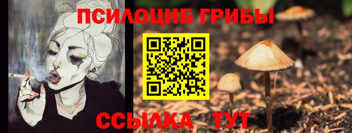 Галлюциногенные грибы мицелий Прохладный