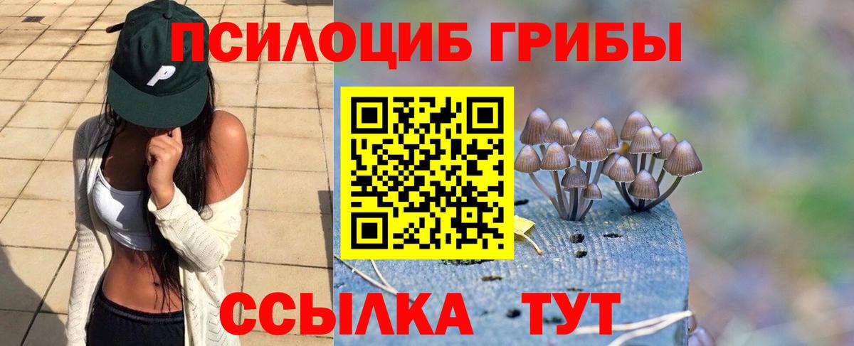 Прохладный  Псилоцибиновые грибы мухоморы  Вход с VPN 